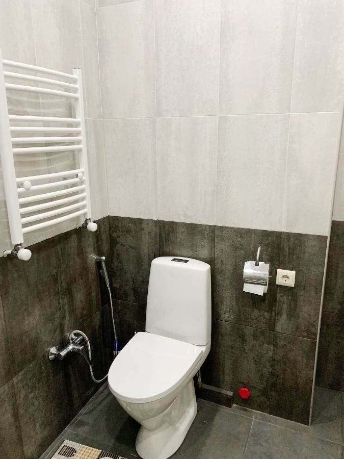 Апарт-отели Mtsatsminda Apartament Тбилиси-11